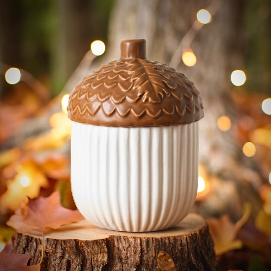 Acorn Burner