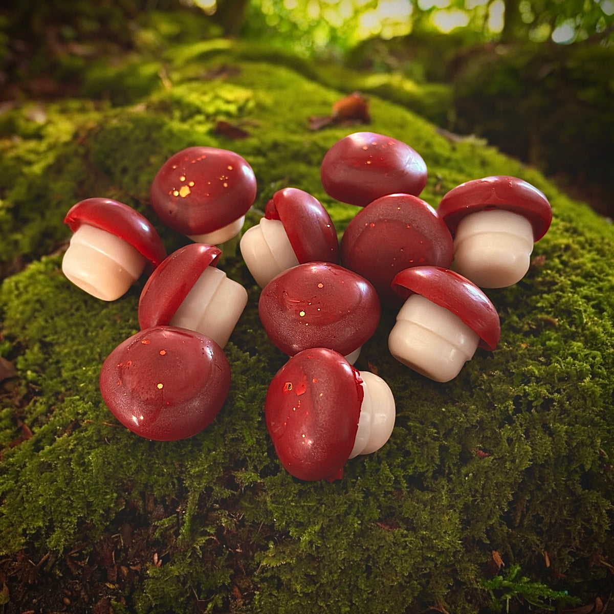 Mahogany Teakwood Little Mushroom Wax Melts (pack of 4)