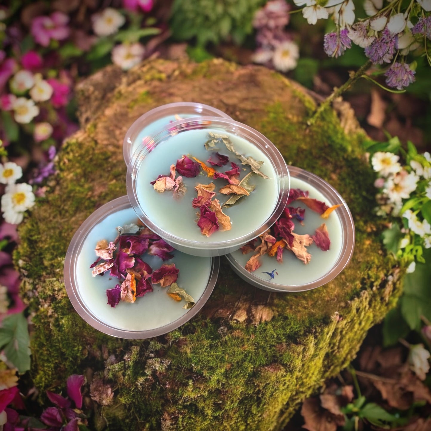 Hemlock & Bergamot Pretty Petal Pot Wax Melt