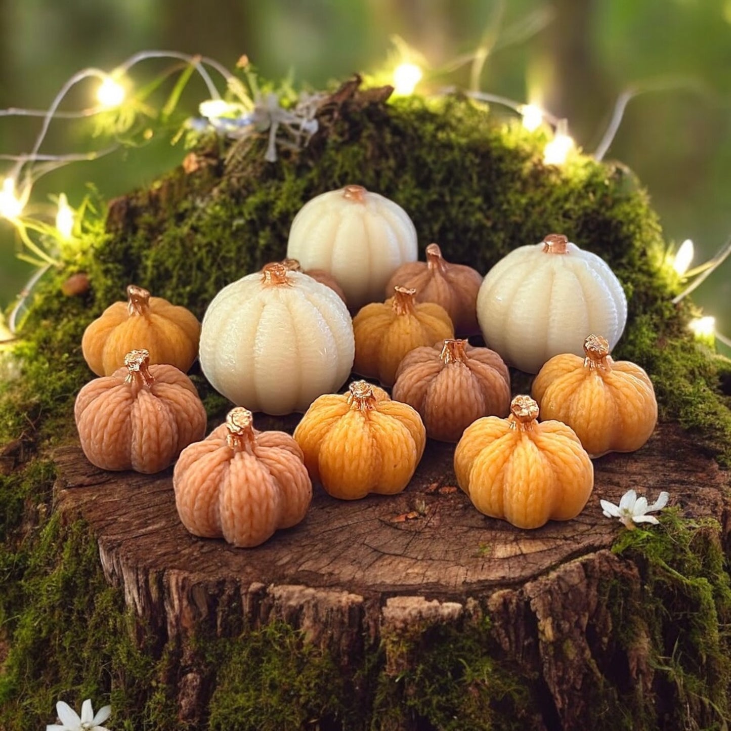 Warming Cashmere knitted Pumpkin Wax Melts