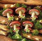 Wild Cassis & Raspberry Mushroom Wax Melt (Individual)-PRE ORDER