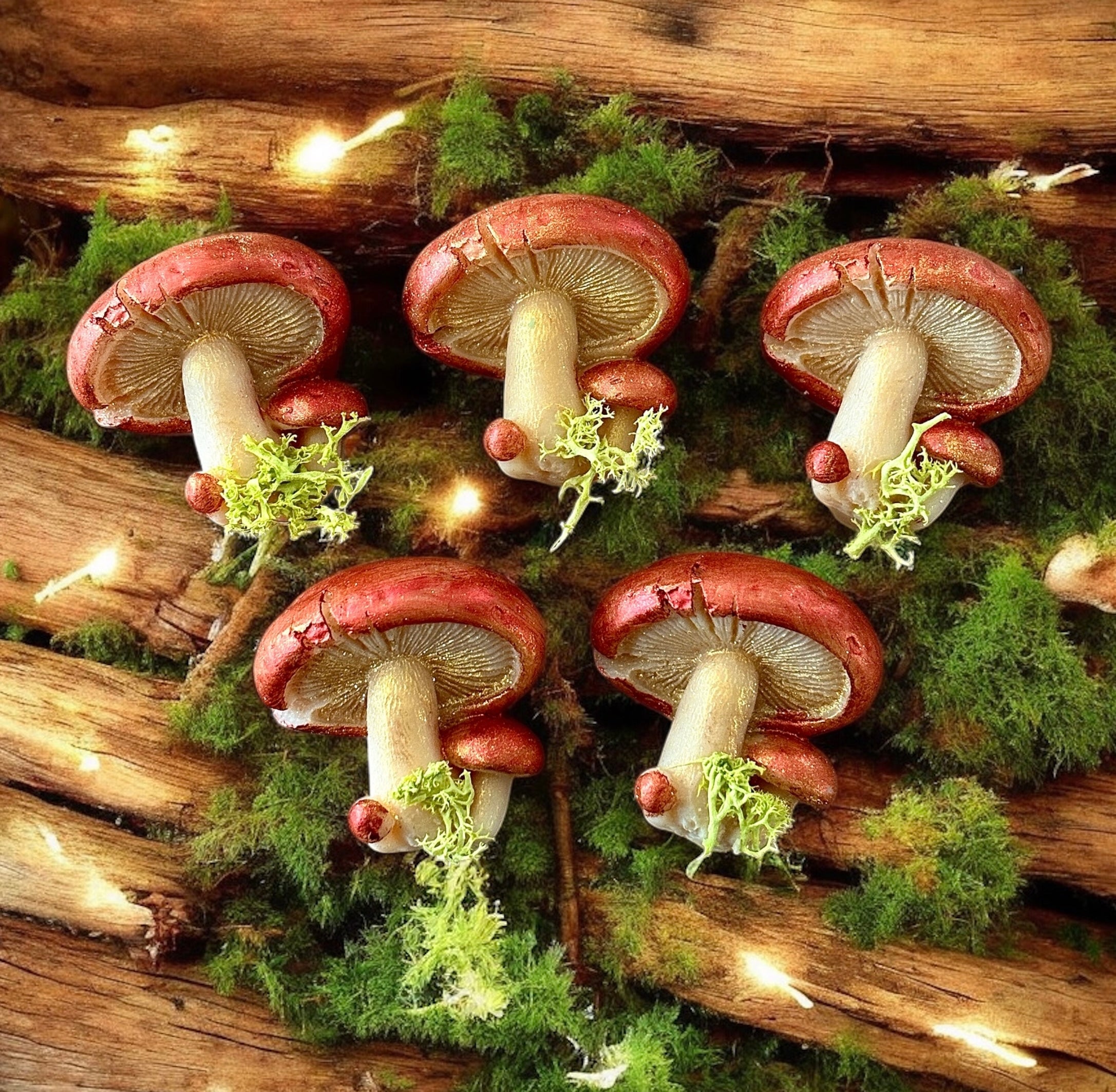 Wild Cassis & Raspberry Mushroom Wax Melt (Individual)