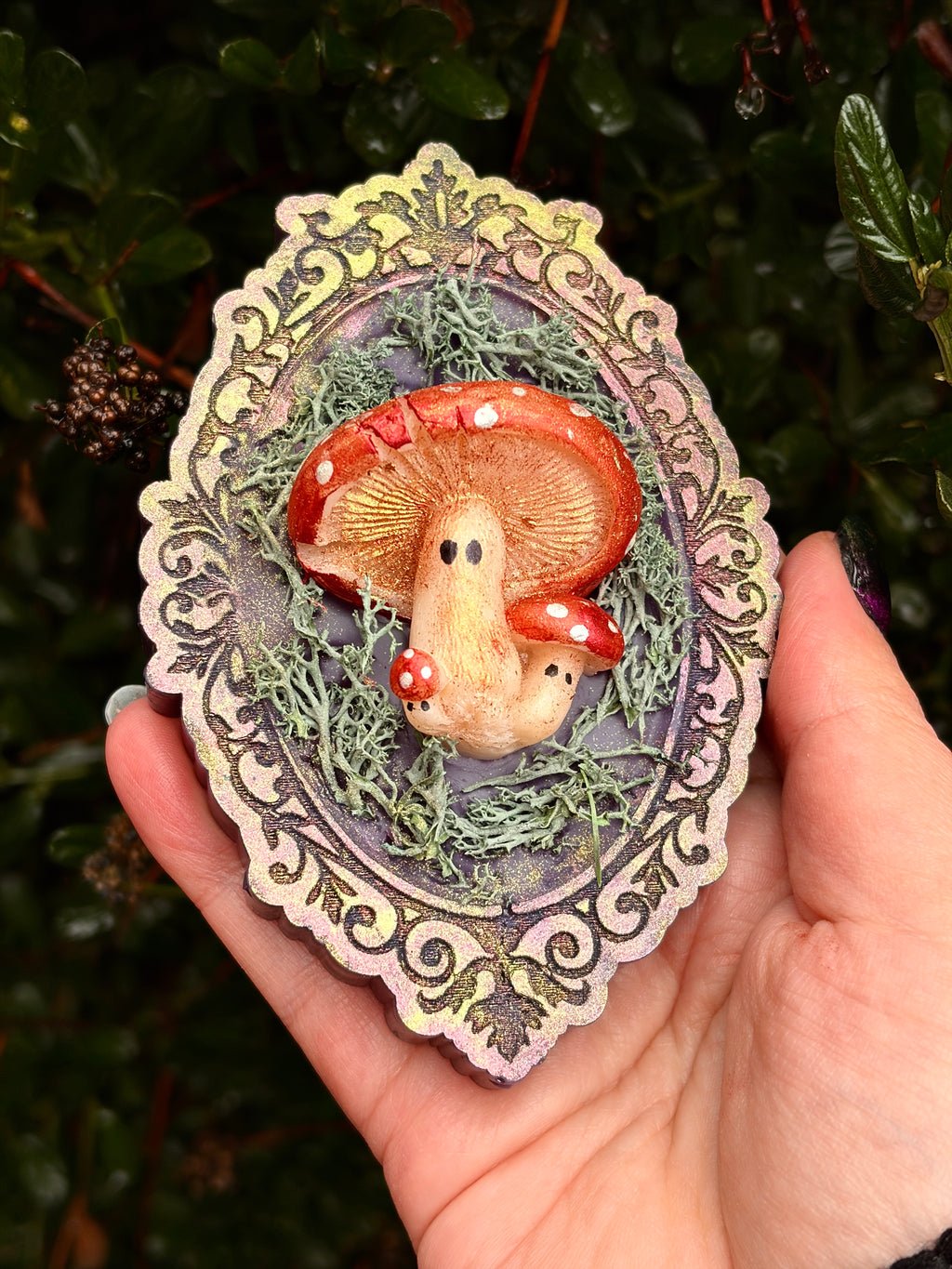 Fungi Family Portrait (Gift Boxed)