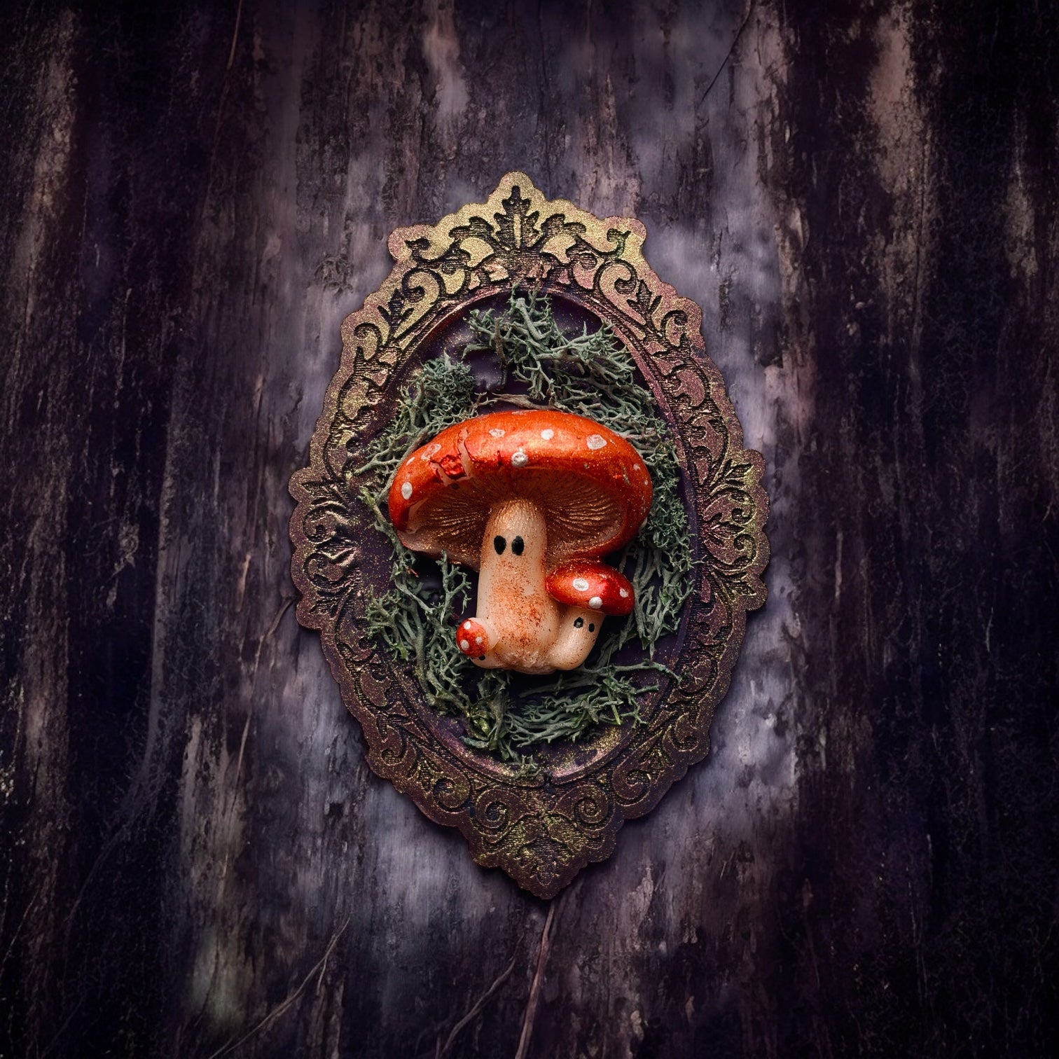 Fungi Family Portrait (Gift Boxed)