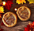 Maple Syrup Squirrel Wax Melts (Pack Of 2)- PRE ORDER