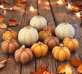 Warming Cashmere knitted Pumpkin Wax Melts- PRE ORDER
