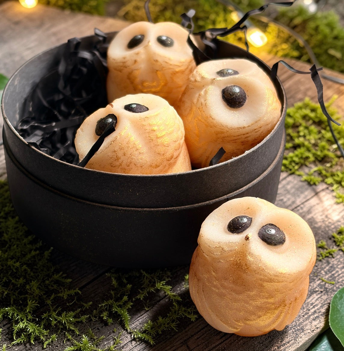 Buttery Wizard Owl Nest Pot Of 4 Wax Melts-PRE ORDER