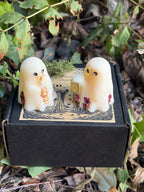The Forest Drifters Wax Melts- Gift Boxed