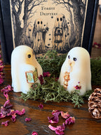 The Forest Drifters Wax Melts- Gift Boxed