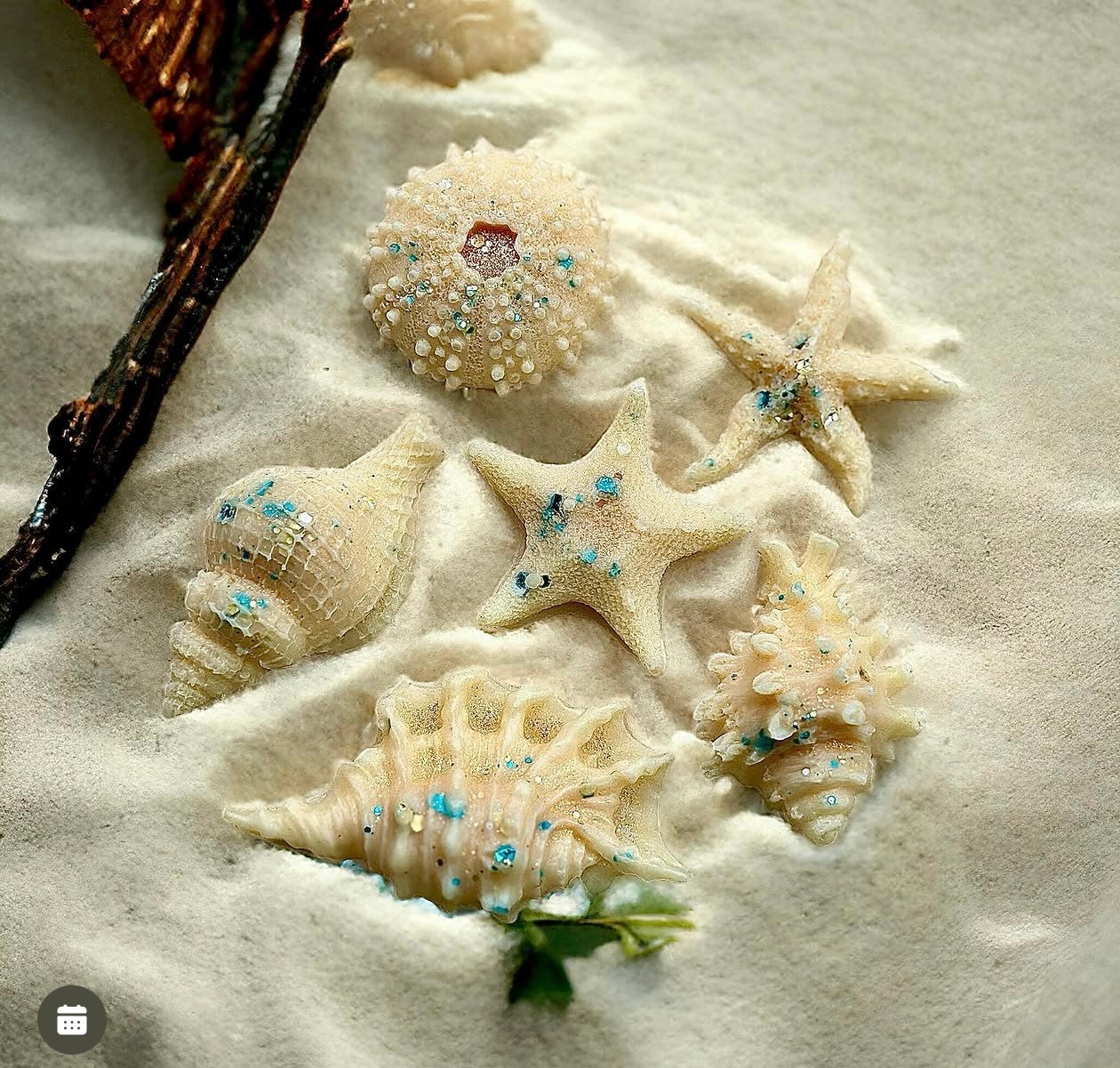 Island Retreat Shell Wax Melts (Pack Of 3)