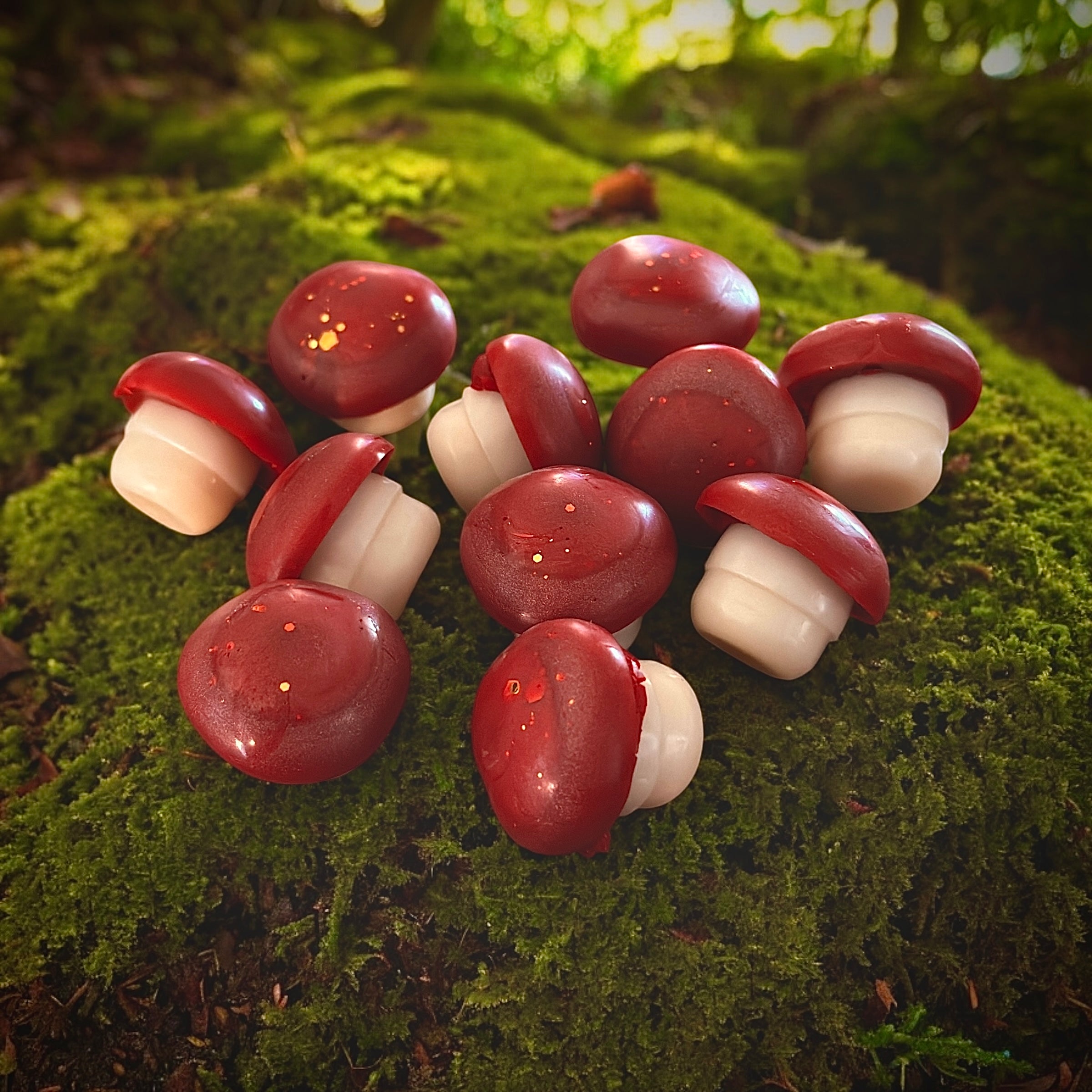 Mahogany Teakwood Little Mushroom Wax Melts (pack of 4)