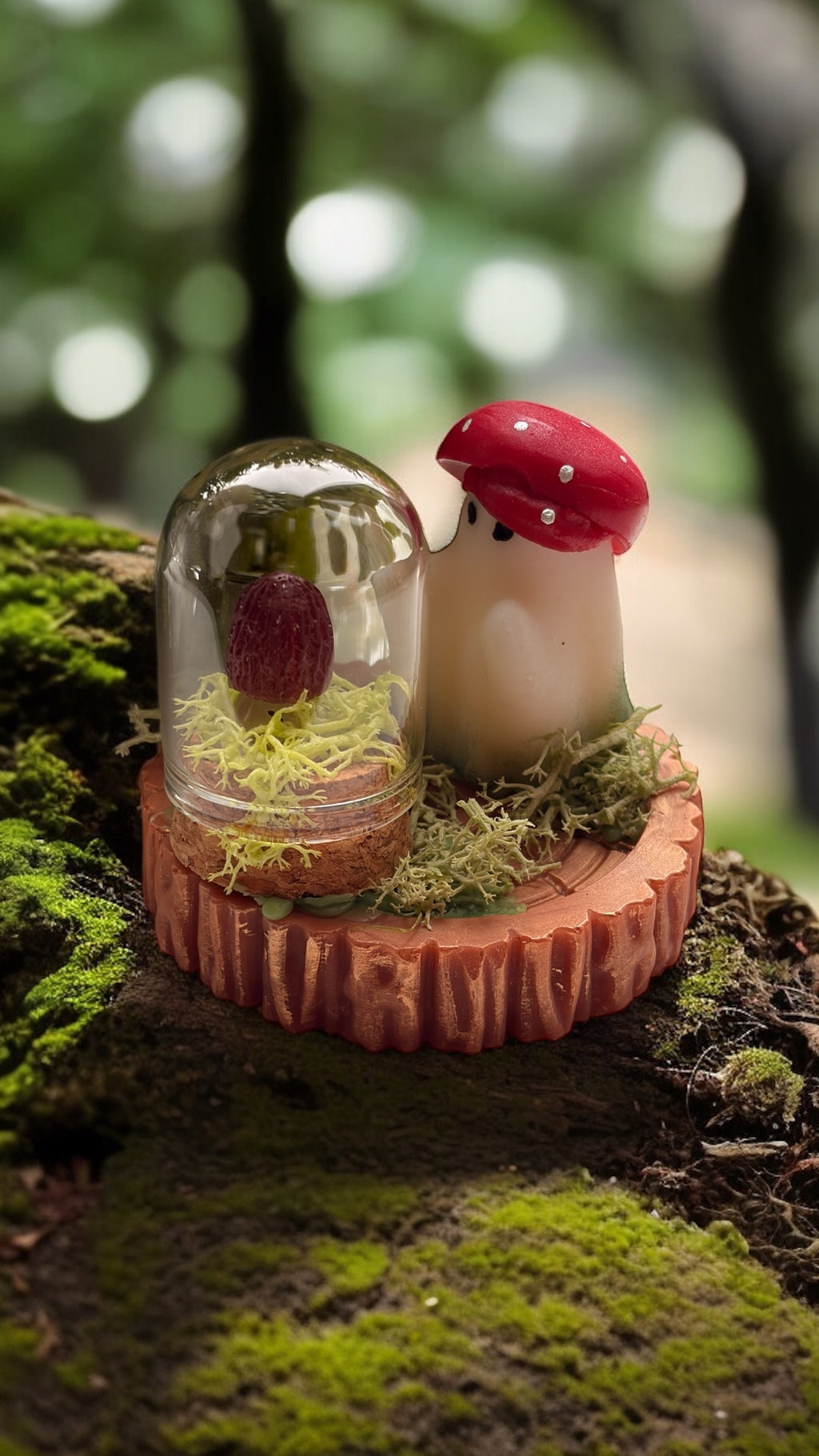 Forest Fungi Terrarium Wax Melt- Gift Boxed