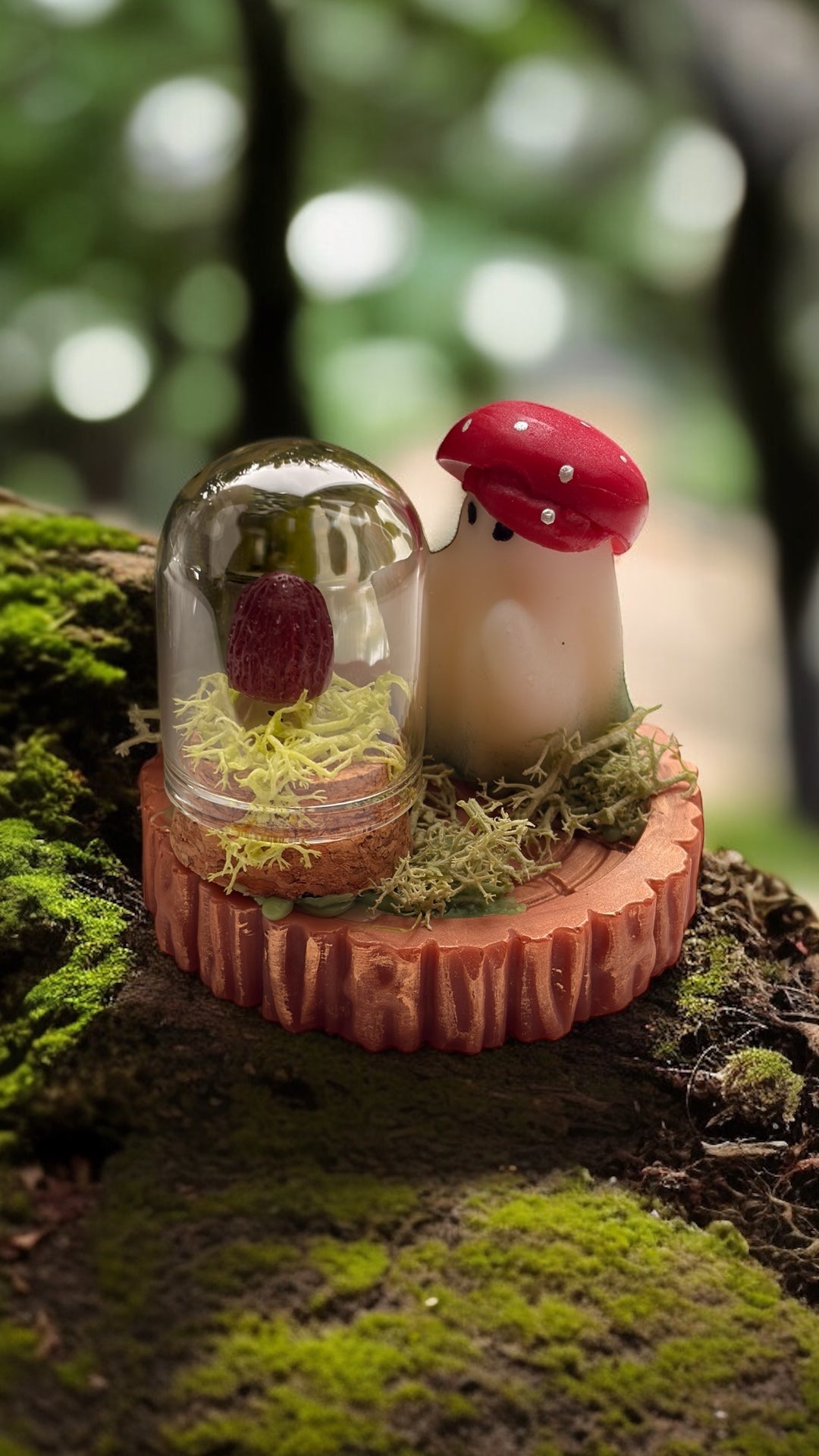 Forest Fungi Terrarium Wax Melt- Gift Boxed