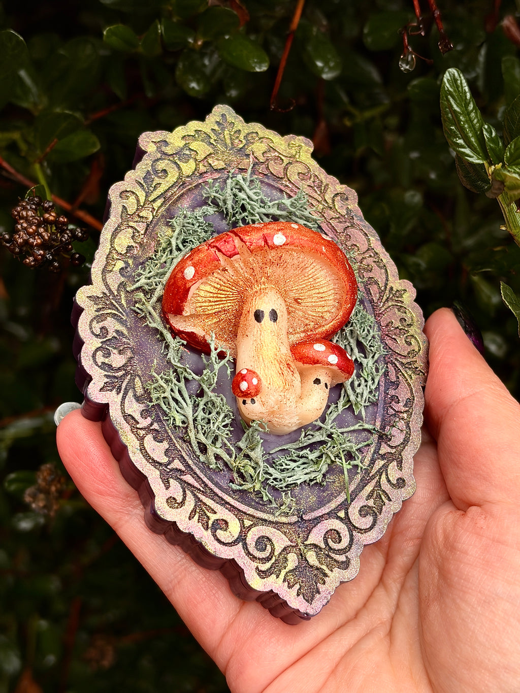 Fungi Family Portrait (Gift Boxed)