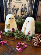 The Forest Drifters Wax Melts- Gift Boxed