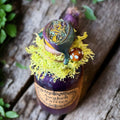 Awaken The Fairies Potion Bottle Reed Diffuser