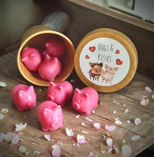 Hogs & Kisses Wax Melt Pot