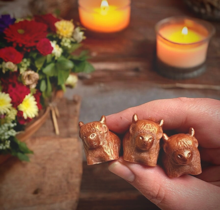 Coffee Coo Highland Cows (pack of 6)