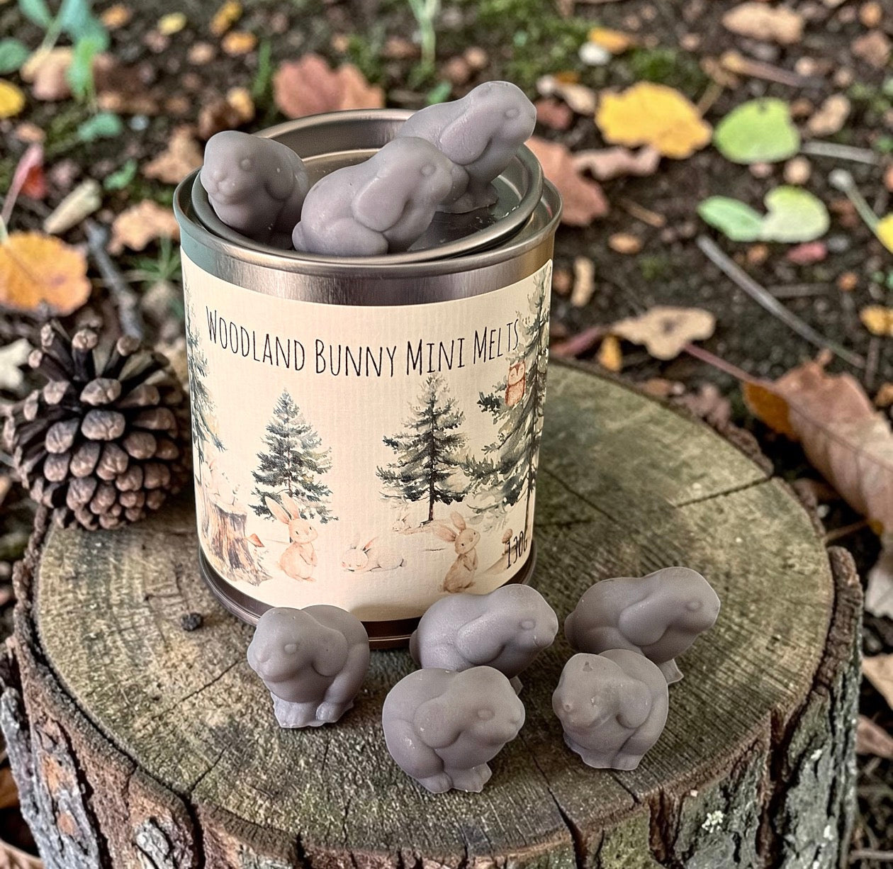 Little Woodland Bunny Mini Wax Melts-PRE ORDER