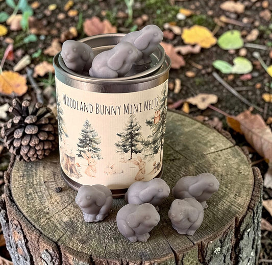 Little Woodland Bunny Mini Wax Melts-PRE ORDER