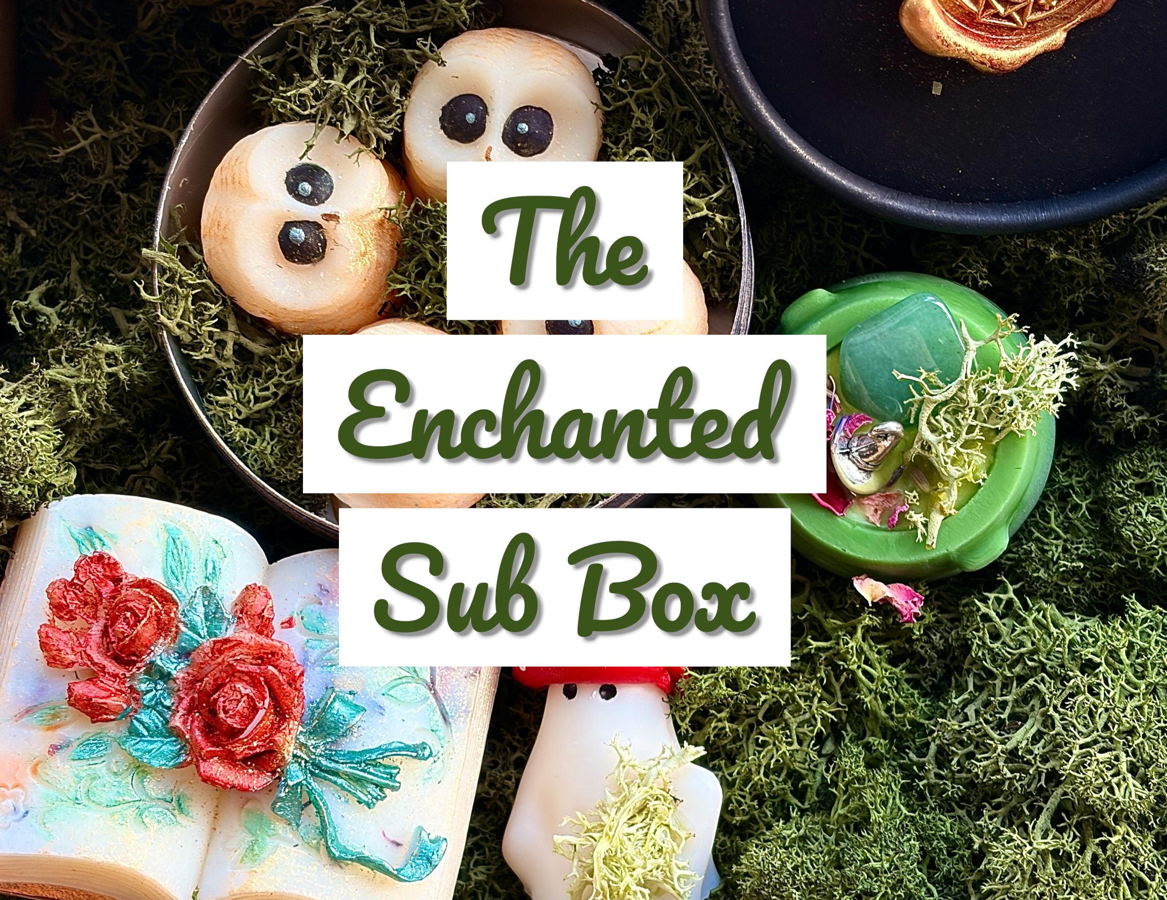 The Enchanted Subscription Box