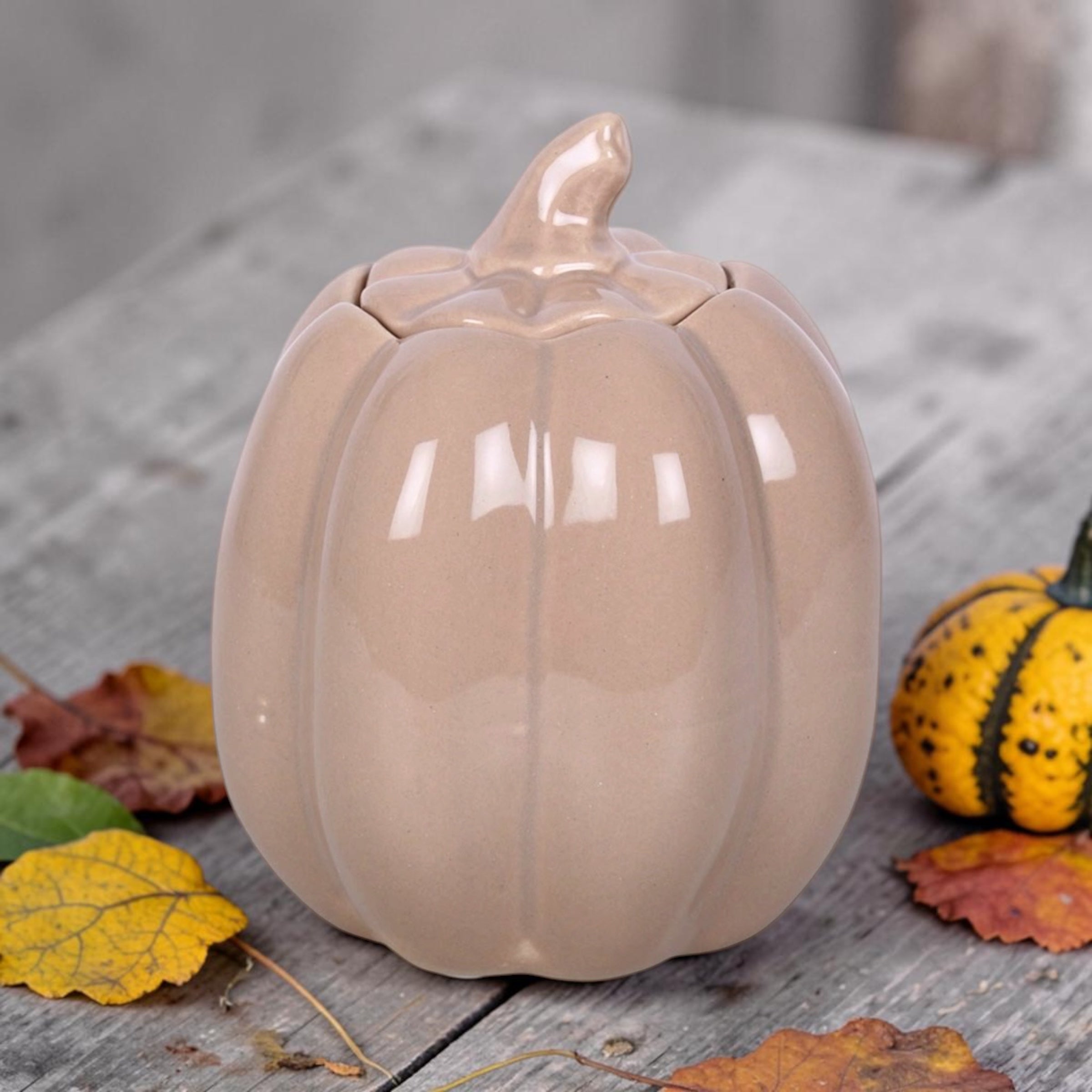 Taupe Pumpkin Burner