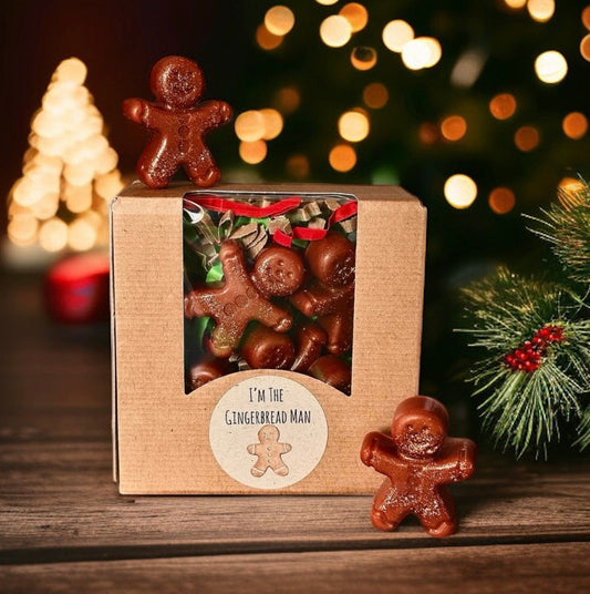 Gingerbread Man Wax Melt (Gift Box Of Six)